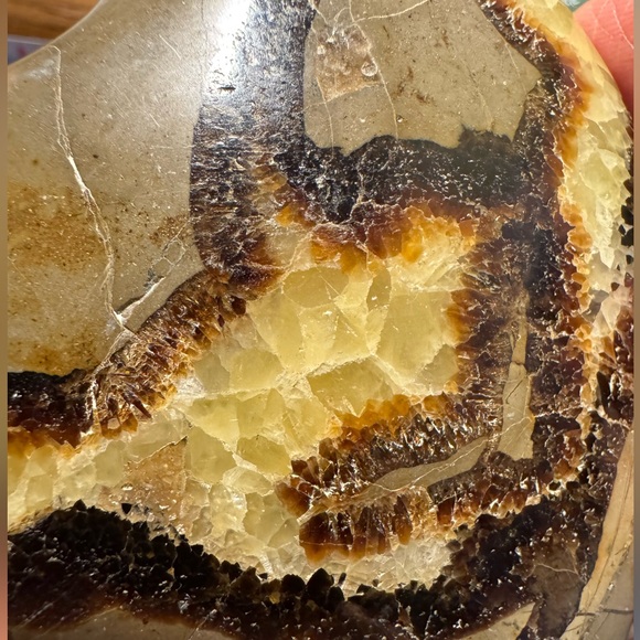 Beautiful Septarian heart shaped palm stone #3 - Picture 12 of 15